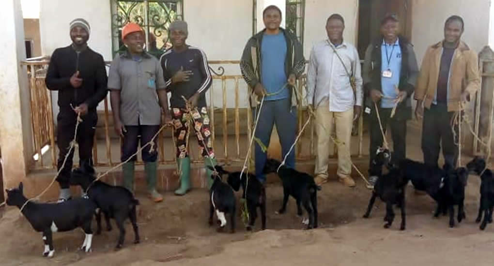 The Goats of Grace Initiative : A Covenant of Faithful Stewardship